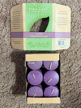 New Leaf Wild Blackberries Scented Soy Votives - Set of 6